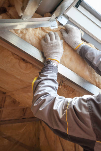 Best Spray Foam Insulation in Mountain View Acres, CA
